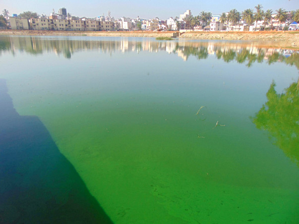 Bengaluru Marathon: Restoration of Byrasandra Lake, Jayanagar