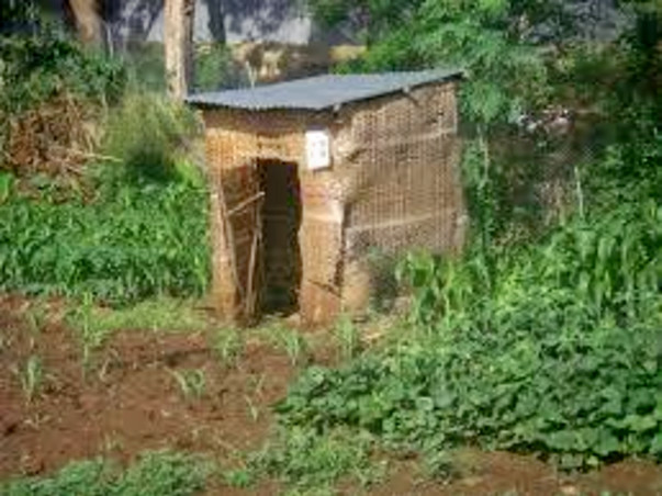 Construction of Public Toilets