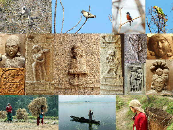 Creating Video History/ Documentation of Indian Culture