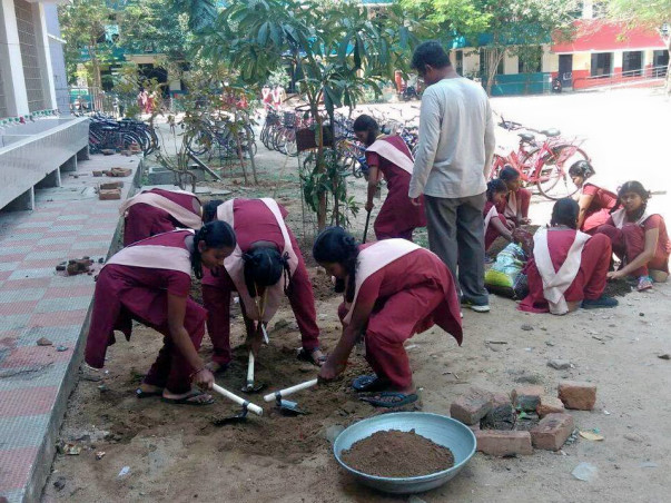 ‘Let's Grow!’: An initiative by Grow Your Own Veggies