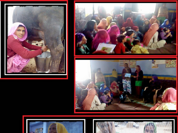 Project Naari - Support the women of Dhigarla