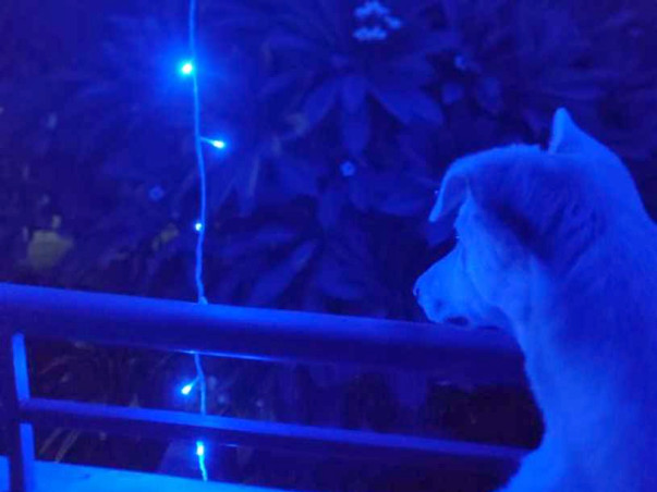 This Christmas, give them a better New Year!