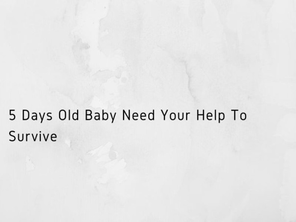 5 Days Old Baby Need Your Help To Survive
