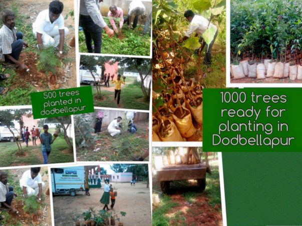 Join me in planting 15,000 trees across Bangalore