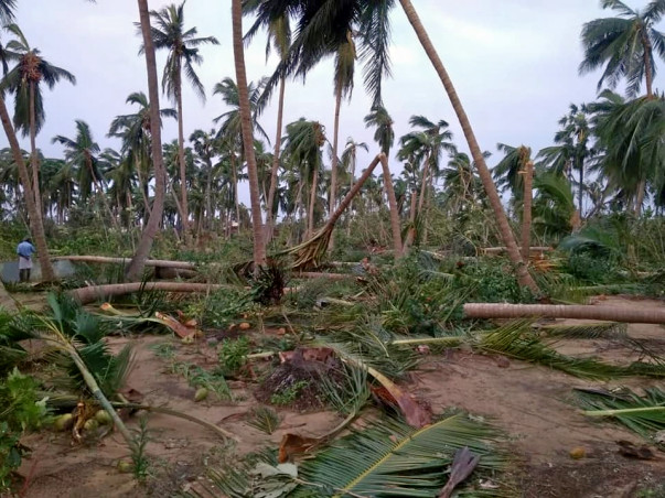 Rebuild Aayakaranpulam/Panchanathikulam Villages After Cyclone Gaja