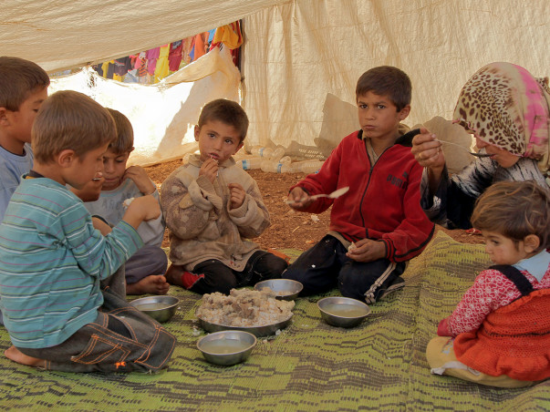 Good Food For All
