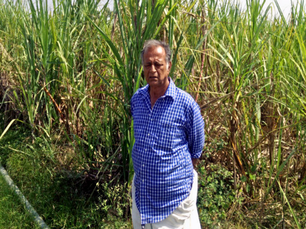 Help Farmer / Diarist Mukundan To Revive Native Indian Bulls