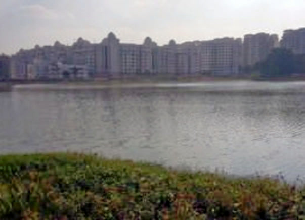 Bengaluru Marathon: Munnekolalu Lake Cleanup, Brookfield