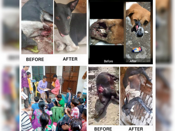 Help end Animal suffering and educate Young Minds