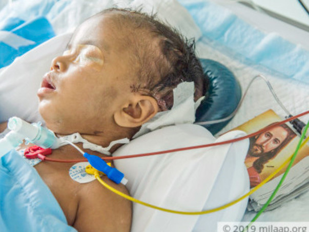 Edgar sojan needs your help to survive