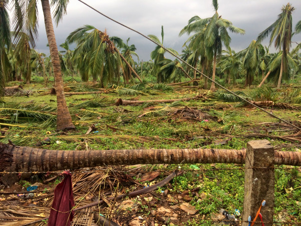 Help TamilNadu Farmers Recover from Cyclone