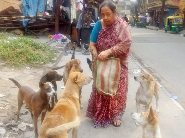 Help Me In Feeding, Treatment & Welfare Of More Than 150 Stray Dogs