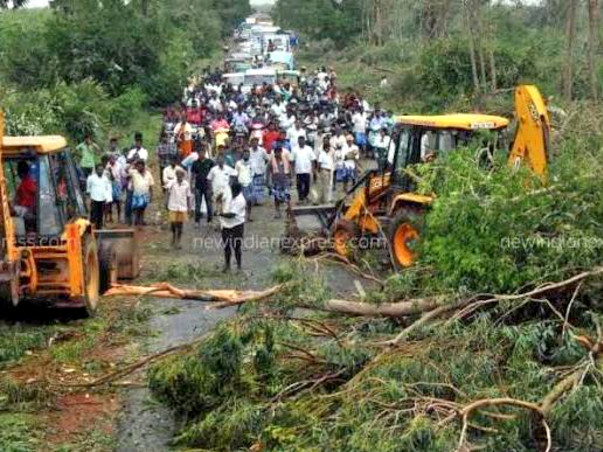 Help Us Save Delta | Cyclone Relief Campaign