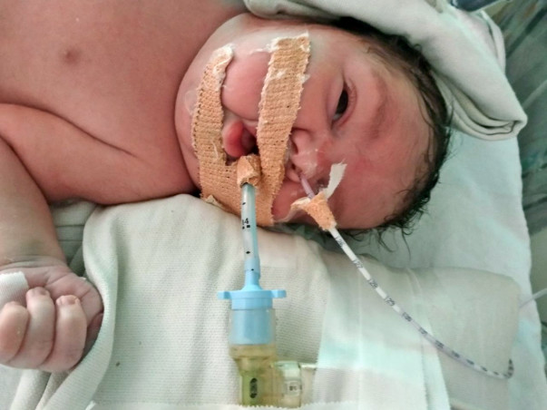 Help My Baby Boy Fight Respiratory Disease