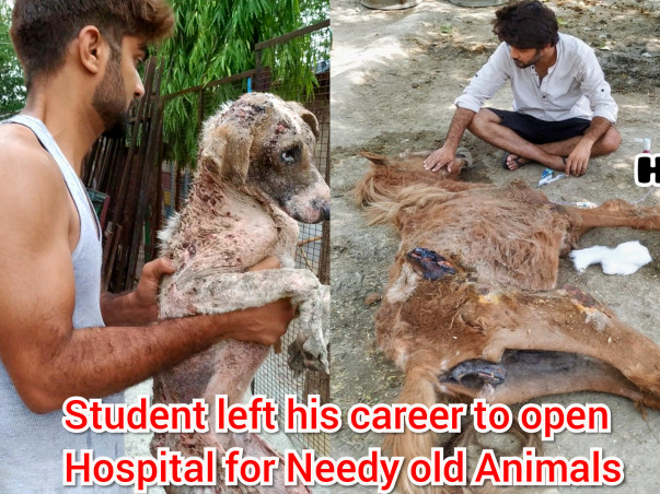 Help Needy abandoned, Paralyzed Animals