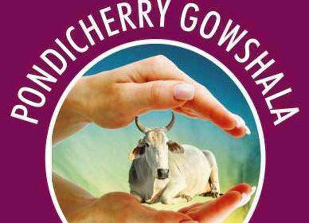 HELP US SAVE COWS