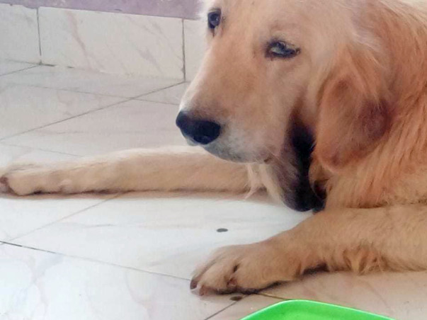 Help champ fight from tumor