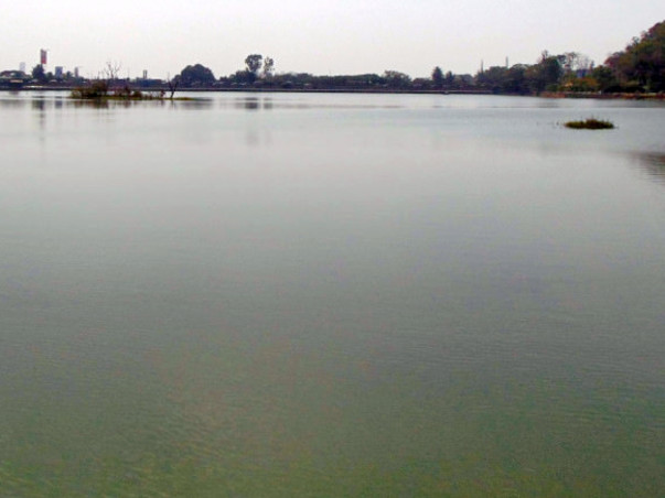 Peace Ride: Restoration of Sankey Tank, Malleshwaram