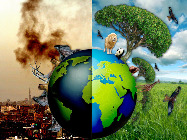 Help in Environmental Protection