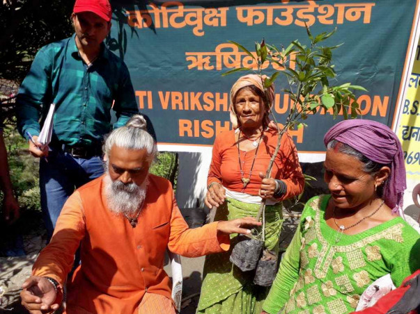 Support Koti Vriksha Foundation for Himalayan Tree Plantation.