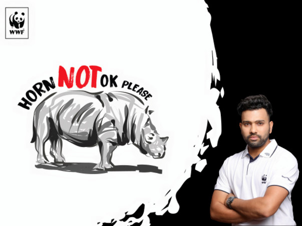 Saving the Indian Rhino