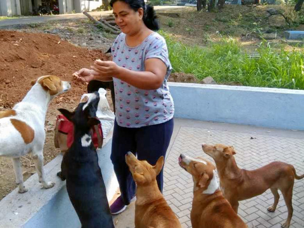 Help Sangeeta And Ravi Build A Forever Home For Their 50+ Street Dogs