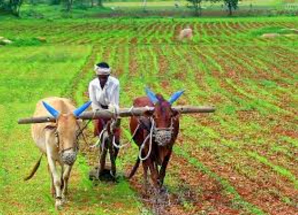 I am fundraising to start organic fertilizers industry and profit will be utilized to educate people about organic farming.