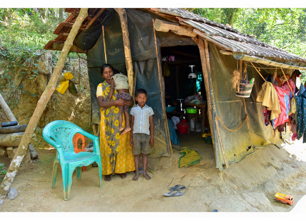 Help Ancy build a house
