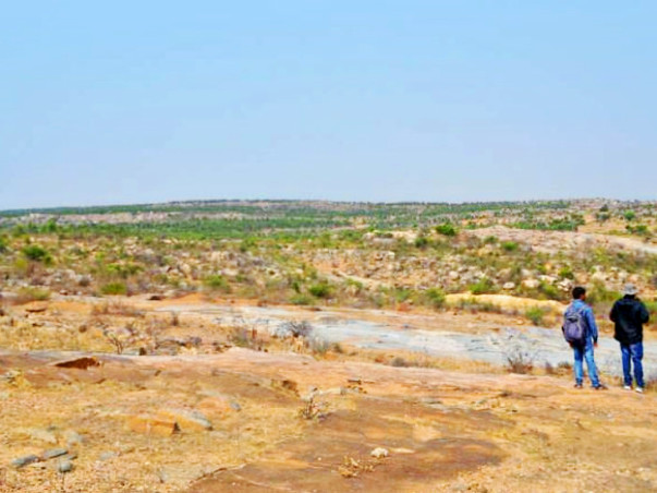 Peace Ride: Improve Green Cover in Chintamani