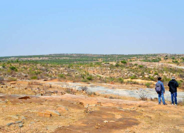 Nandi Hillathon: Improve Green Cover in Chintamani