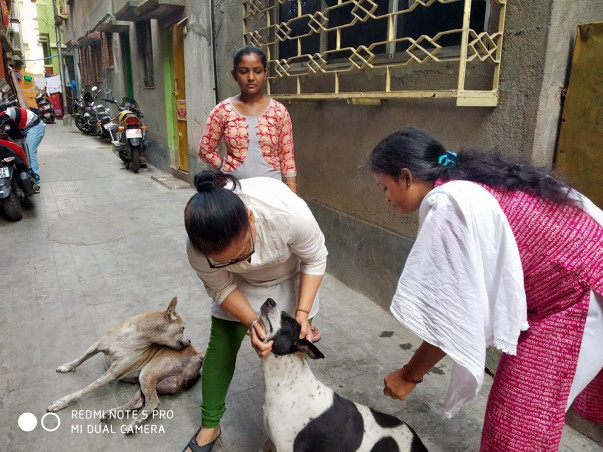 Join Me To Support Stray Dogs
