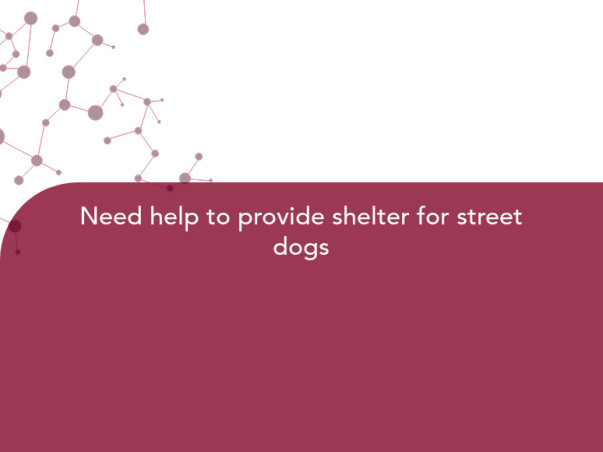 Need help to provide shelter for street dogs