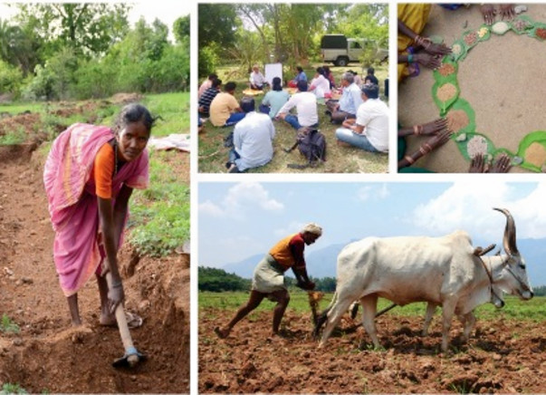 Support the National Permaculture Convergence - Feb 2016 Hyderabad India