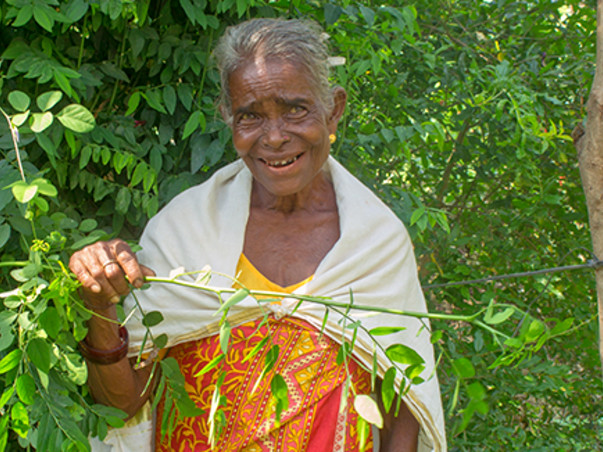 Lets create a livelihood for our Adivasis