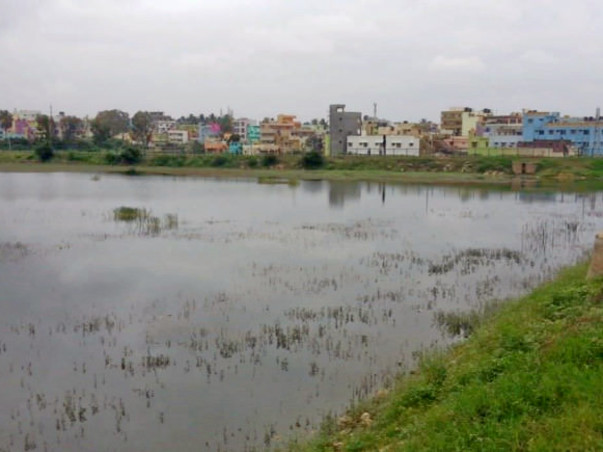 Peace Ride: Devasandra Lake Rejuvenation, K.R.Puram