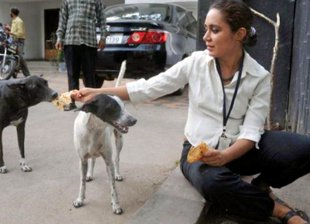 Help Anjali buy a rescue van for saving stray dogs