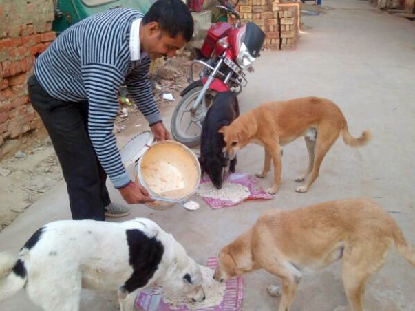 Do support 300+ dogs' medical needs & care by donating to us