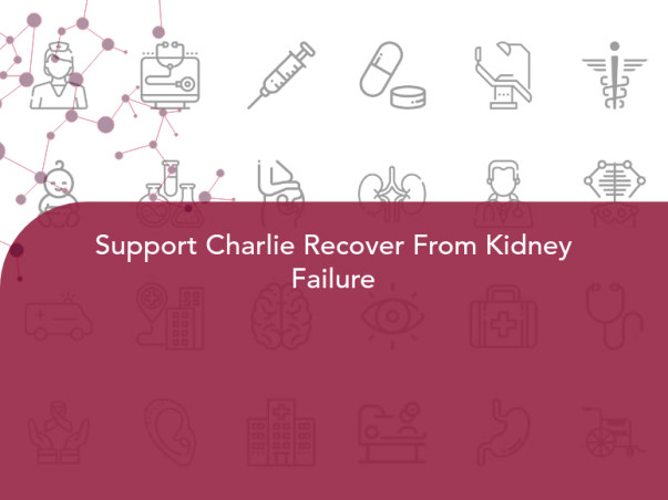 Support Charlie Recover From Kidney Failure