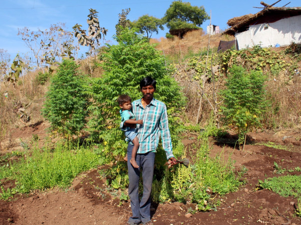 Gift vegetable gardens to 120 families with malnourished children.