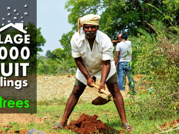 I am fundraising to do plantation program in my City Cuttack
