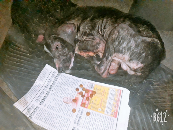 Help Him For Better Life