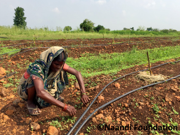 I am fundraising to help bring sustainable incomes to the farmers of Vidarbha through Mahindra’s #SeedTheRise initiative