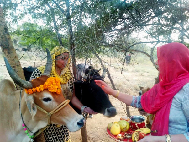 New Beginning for Kavita and Rajesh’s Dream – Shri Gau Rashtram