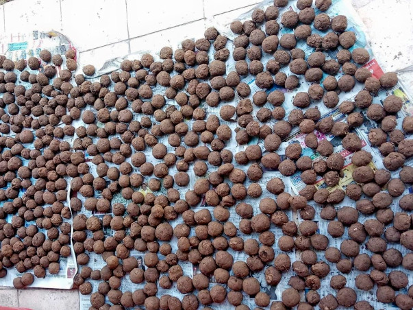 Project One Lakh Seed Bombing in Aravalis