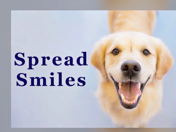 Spread Smiles, Feed and Help The Stray Pups