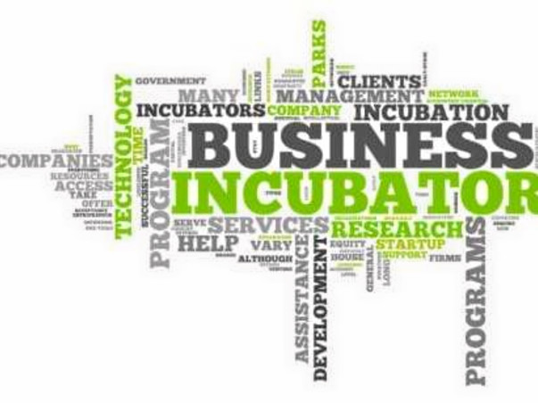 Support This Incubation Center for Poor