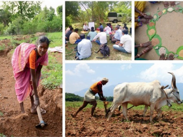 Support the National Permaculture Convergence - Feb 2016 Hyderabad India