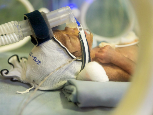 New Mother Has Not Seen Her 2-Month-Preemie Son As He Is In The ICU