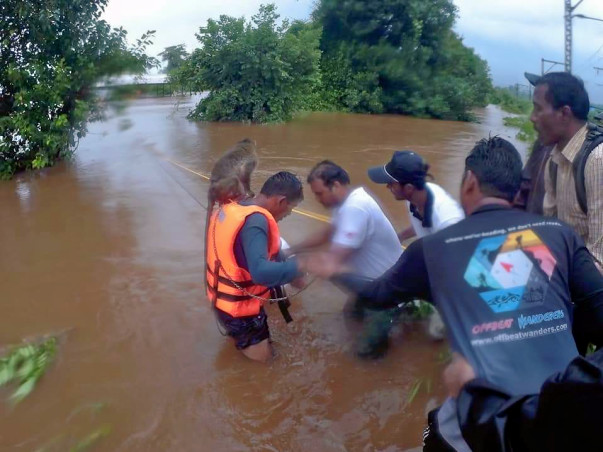 Shelter for Disabled Animals Destroyed in Floods! Help them!
