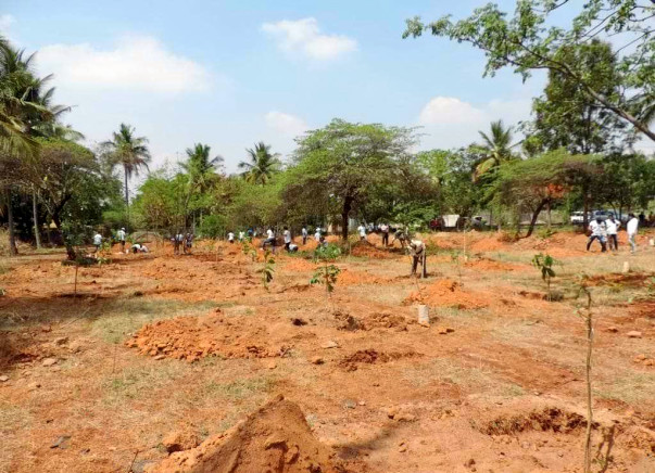 Nandi Hillathon: Improving green cover in HSR Layout